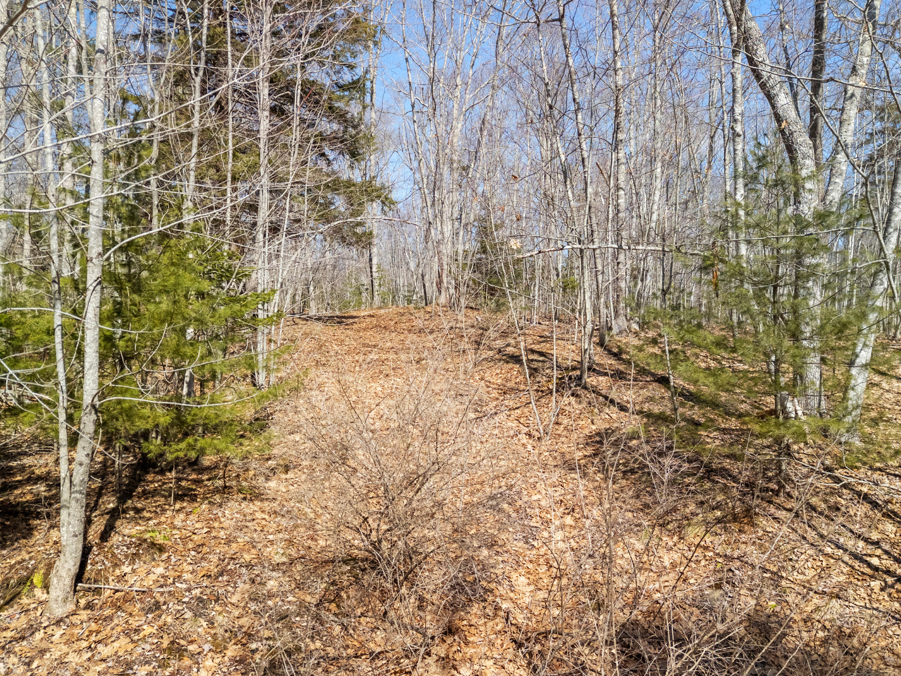 0 Middle Road Warren, ME 04864 - Photo 11 of 24 DJI_20260328111036_0626_D