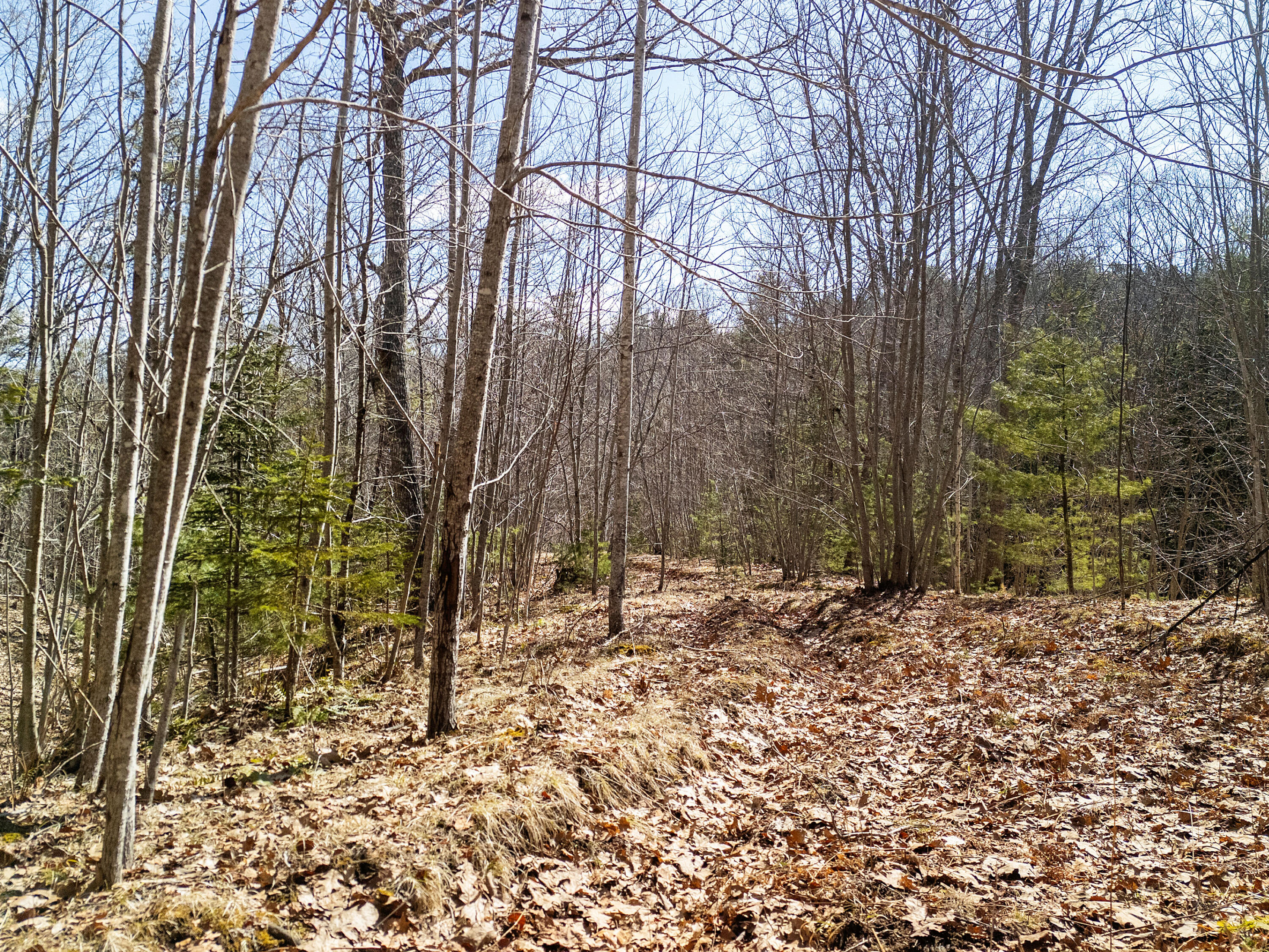 0 Middle Road Warren, ME 04864 - Photo 12 of 24 DJI_20260328111125_0627_D