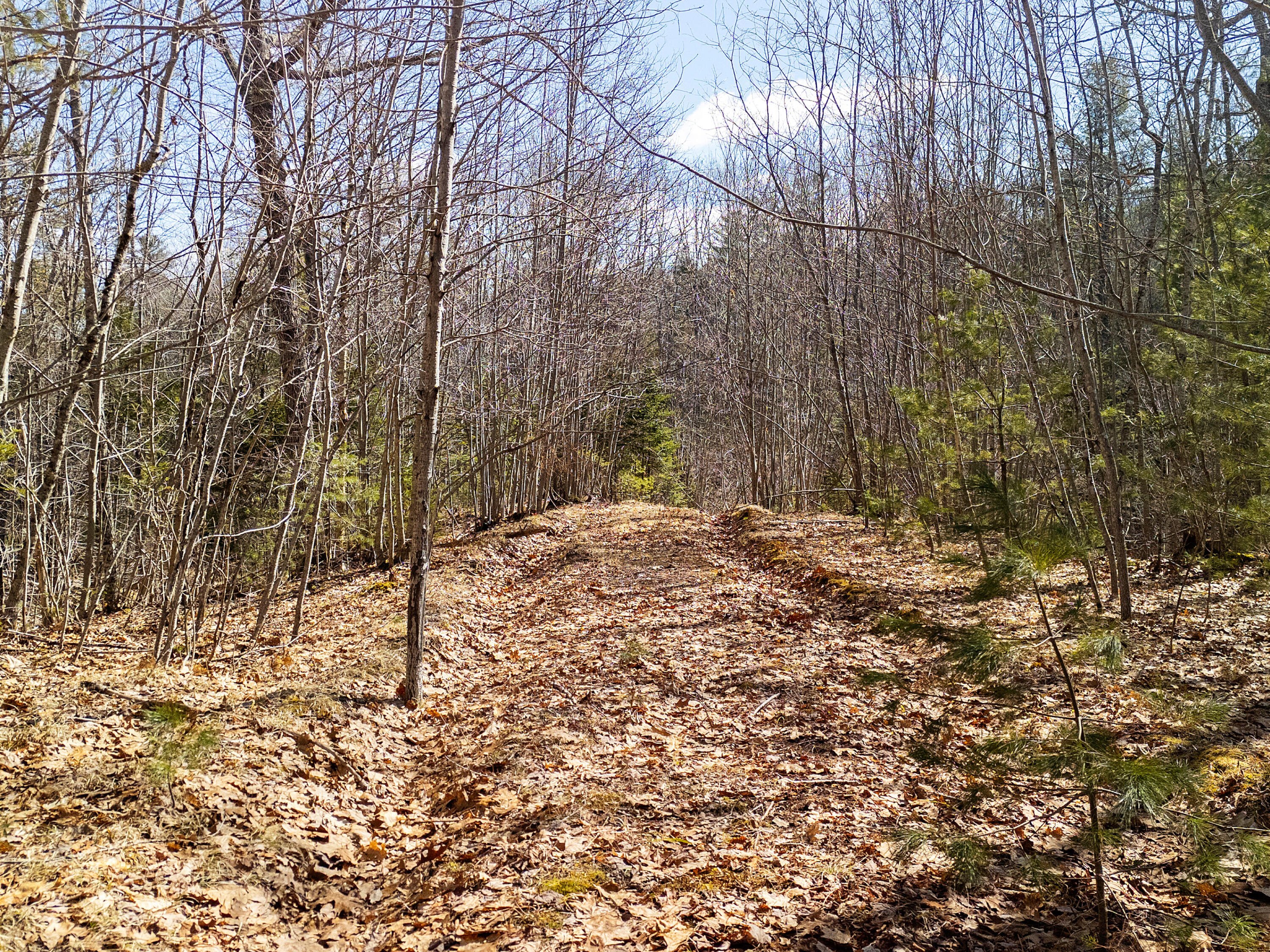 0 Middle Road Warren, ME 04864 - Photo 14 of 24 DJI_20260328111211_0637_D