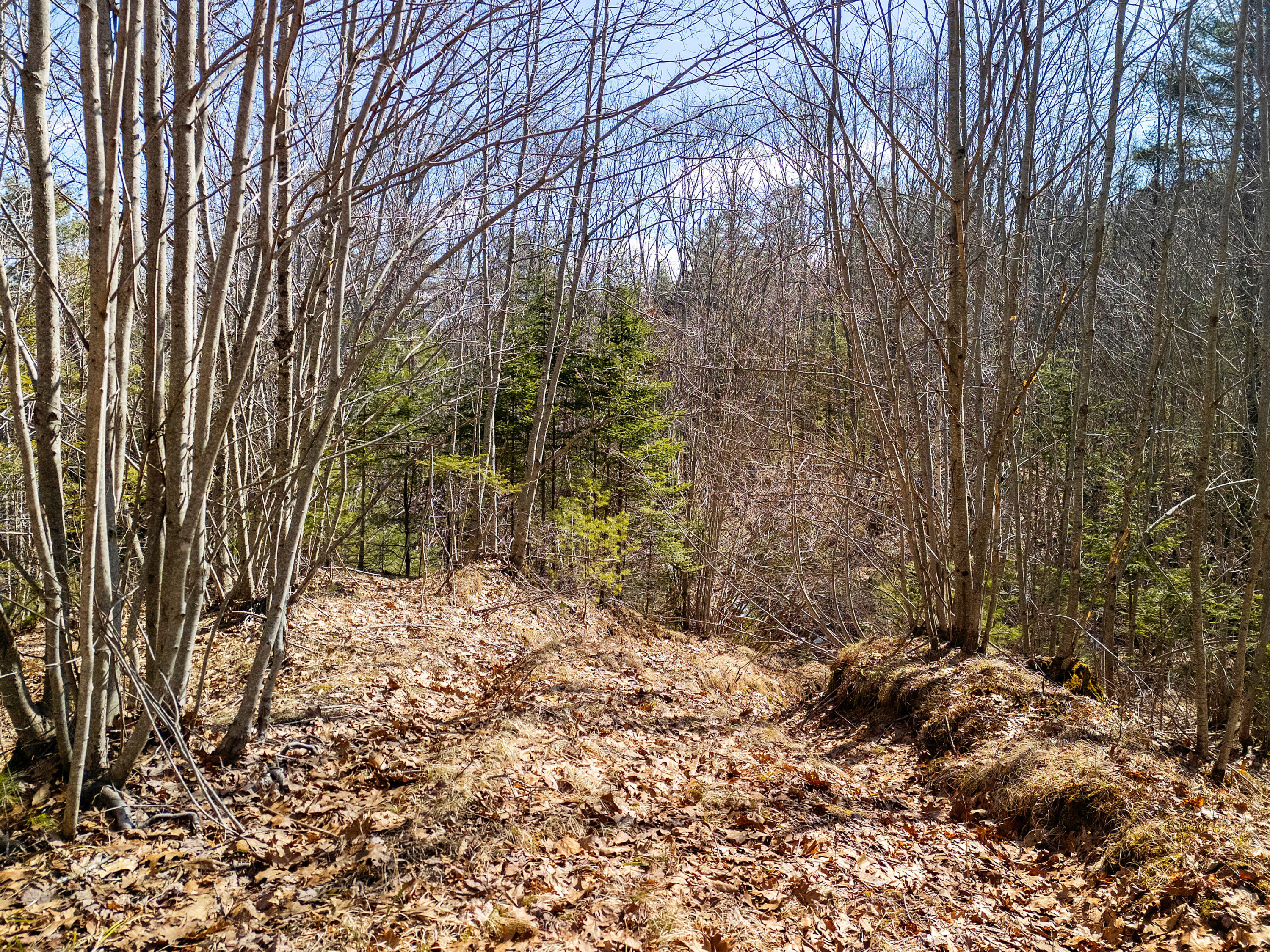 0 Middle Road Warren, ME 04864 - Photo 15 of 24 DJI_20260328111244_0647_D
