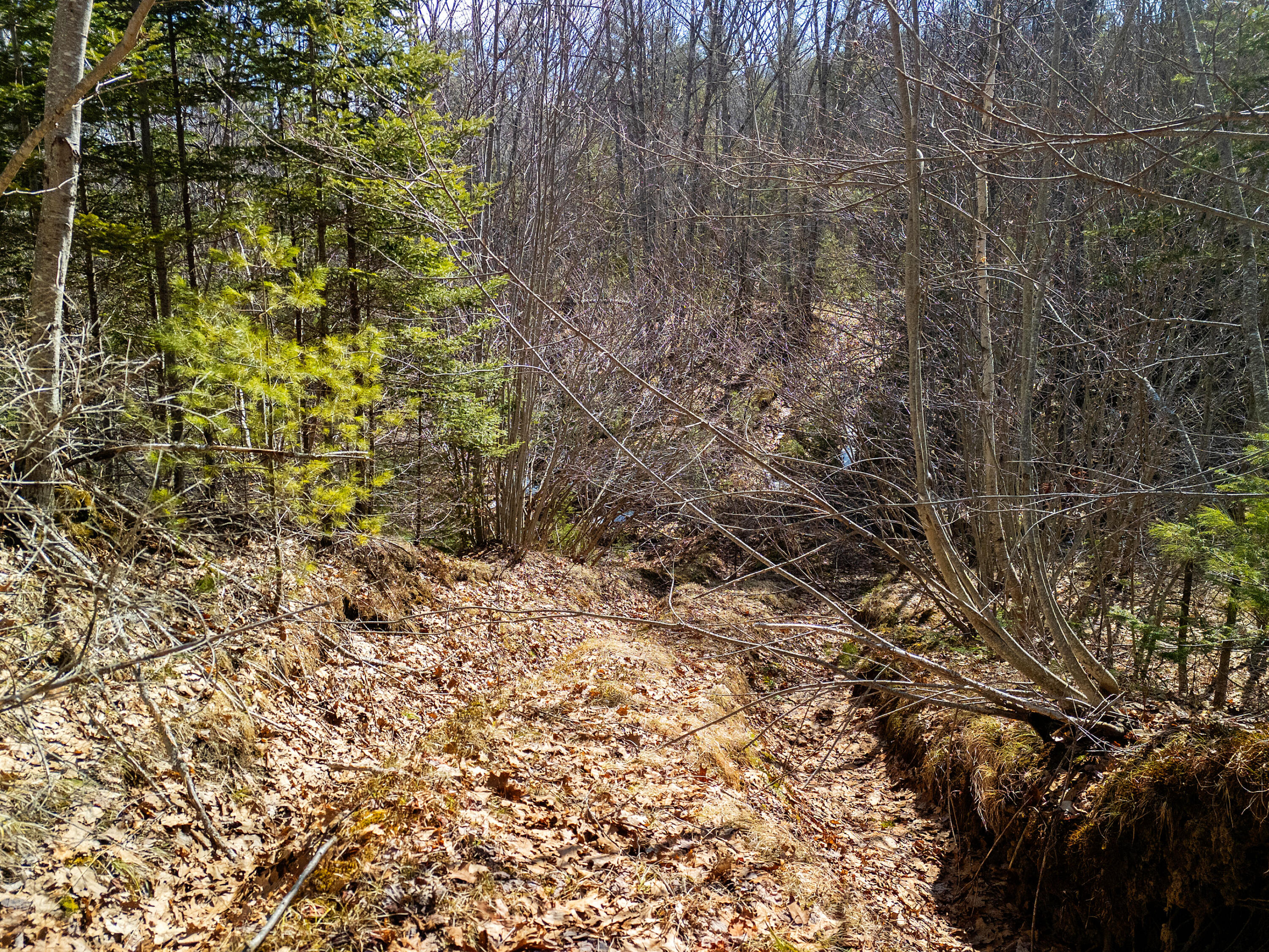 0 Middle Road Warren, ME 04864 - Photo 16 of 24 DJI_20260328111308_0652_D