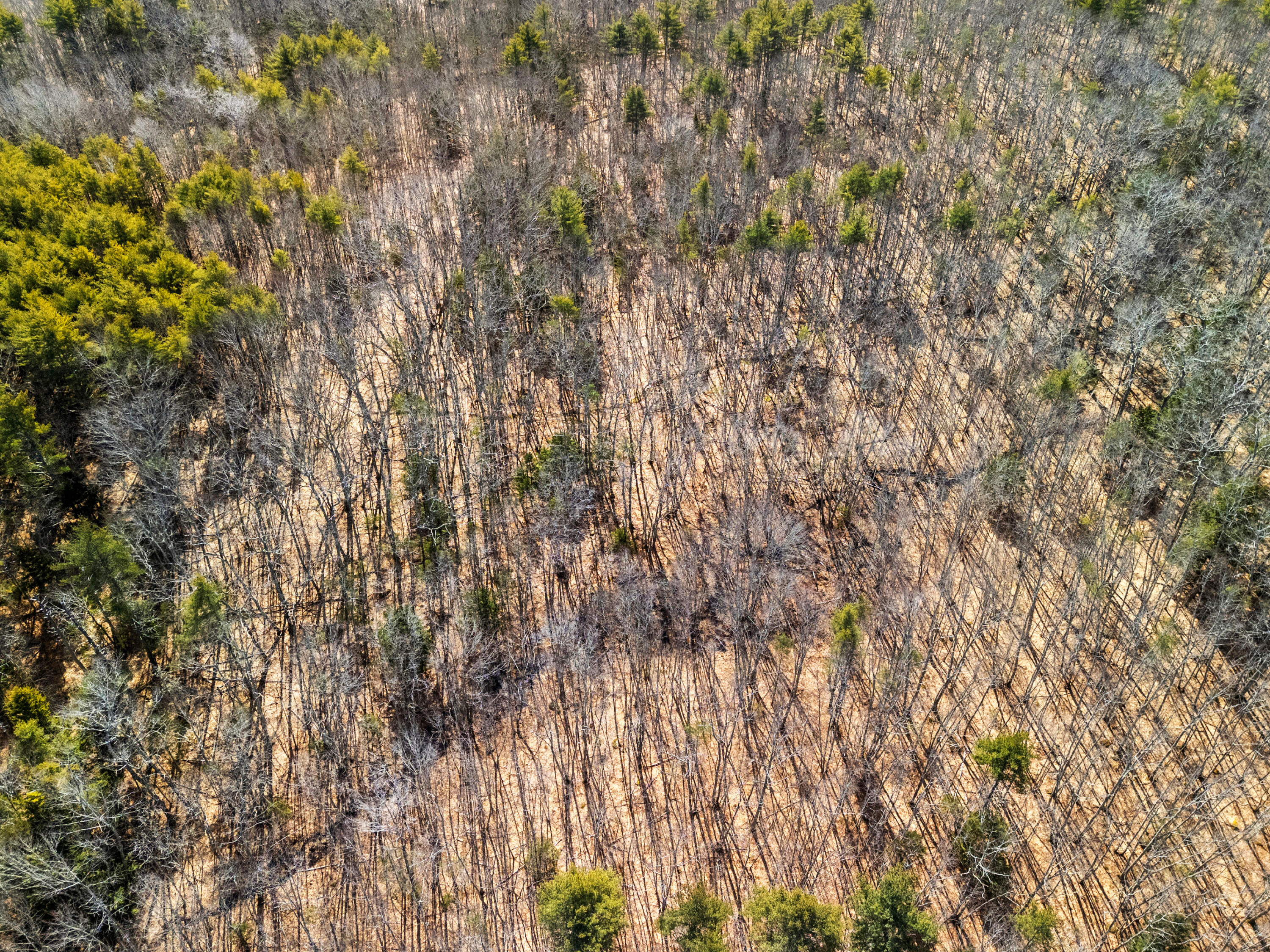 0 Middle Road Warren, ME 04864 - Photo 18 of 24 DJI_20260328111525_0666_D