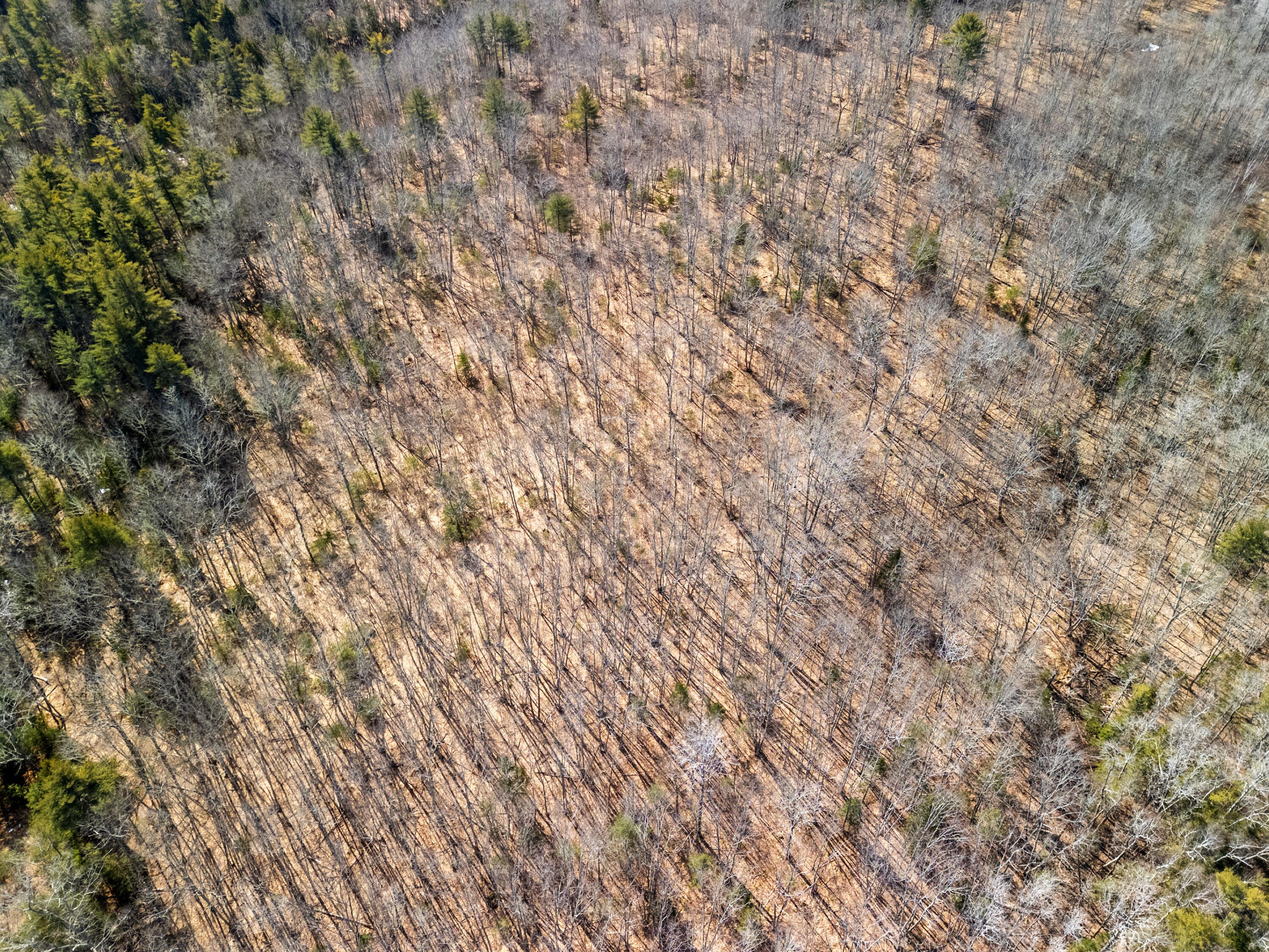0 Middle Road Warren, ME 04864 - Photo 4 of 24 DJI_20260328110402_0571_D
