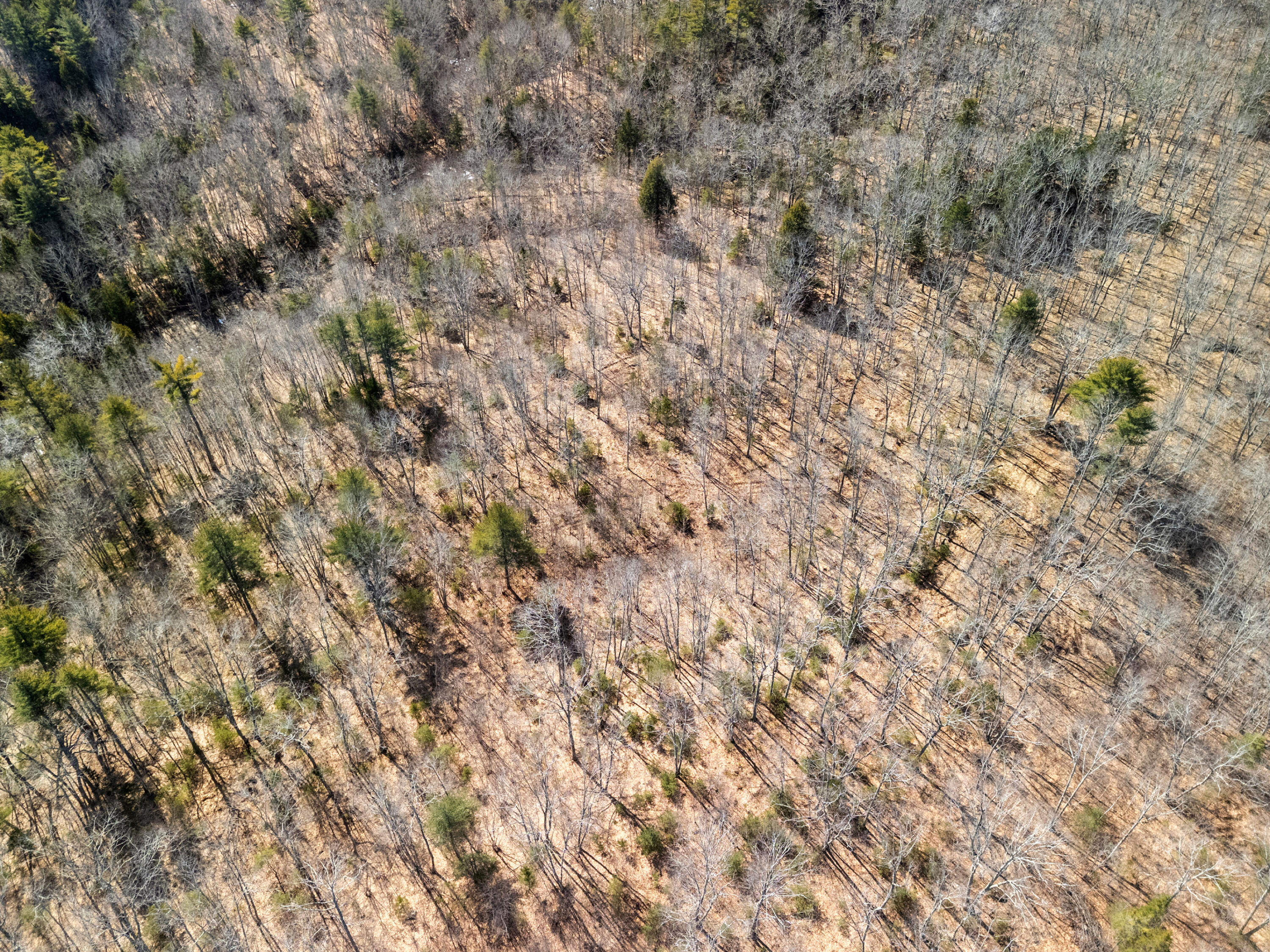 0 Middle Road Warren, ME 04864 - Photo 5 of 24 DJI_20260328110419_0576_D