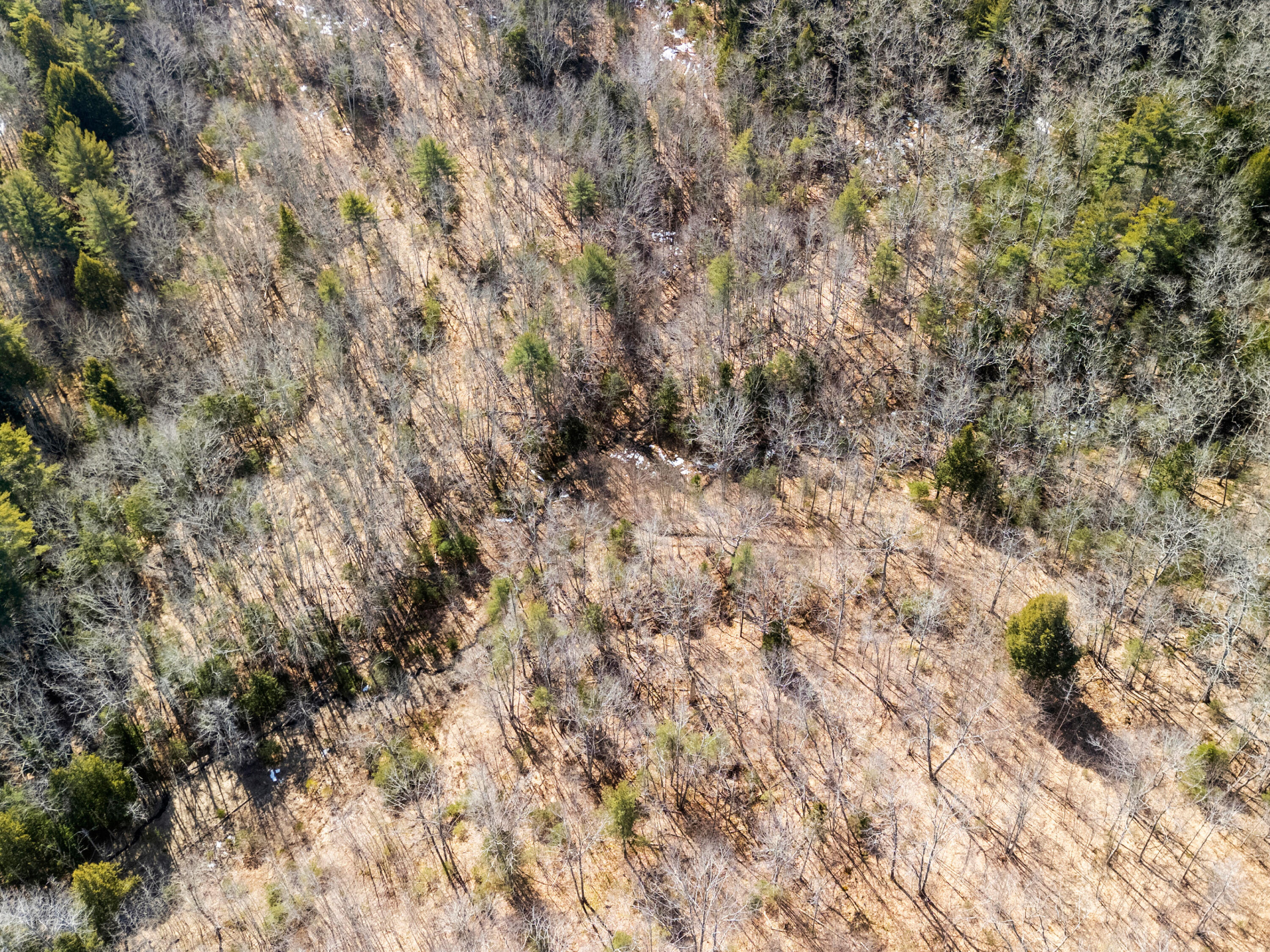 0 Middle Road Warren, ME 04864 - Photo 6 of 24 DJI_20260328110437_0581_D