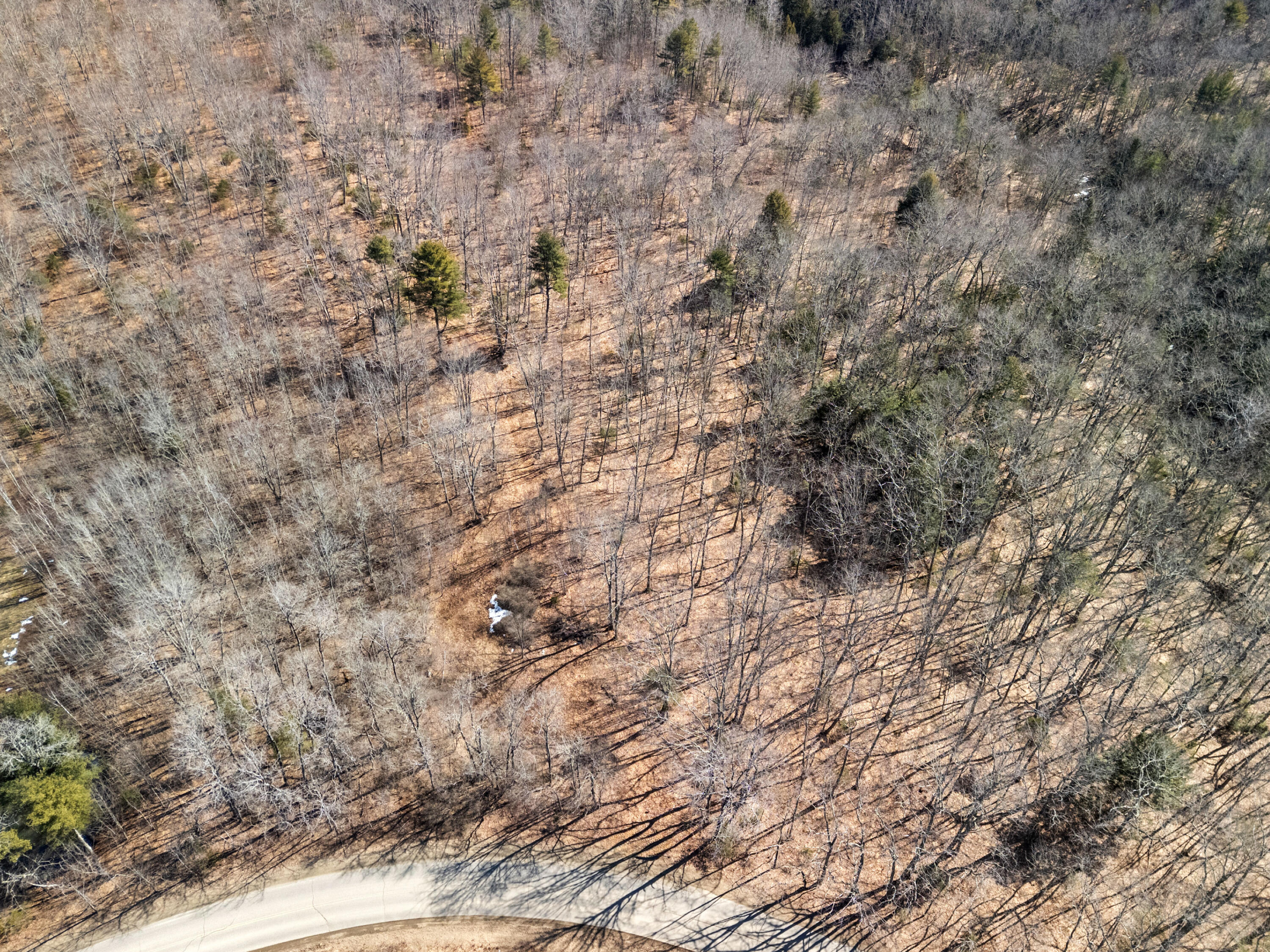 0 Middle Road Warren, ME 04864 - Photo 7 of 24 DJI_20260328110520_0586_D
