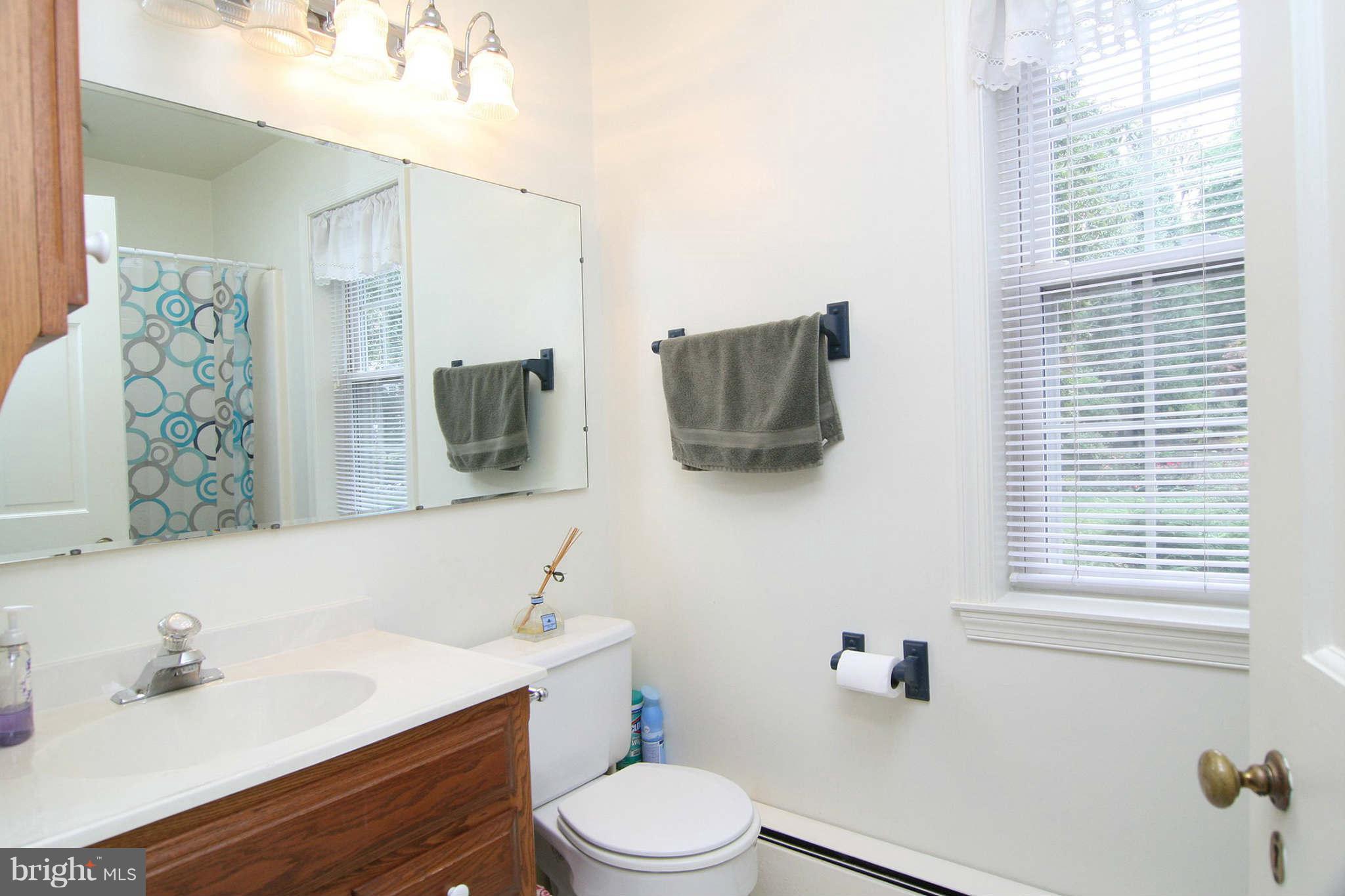 109 Greenbrier Road Baltimore, MD 21286 - Photo 16 of 27 Bath (Master)