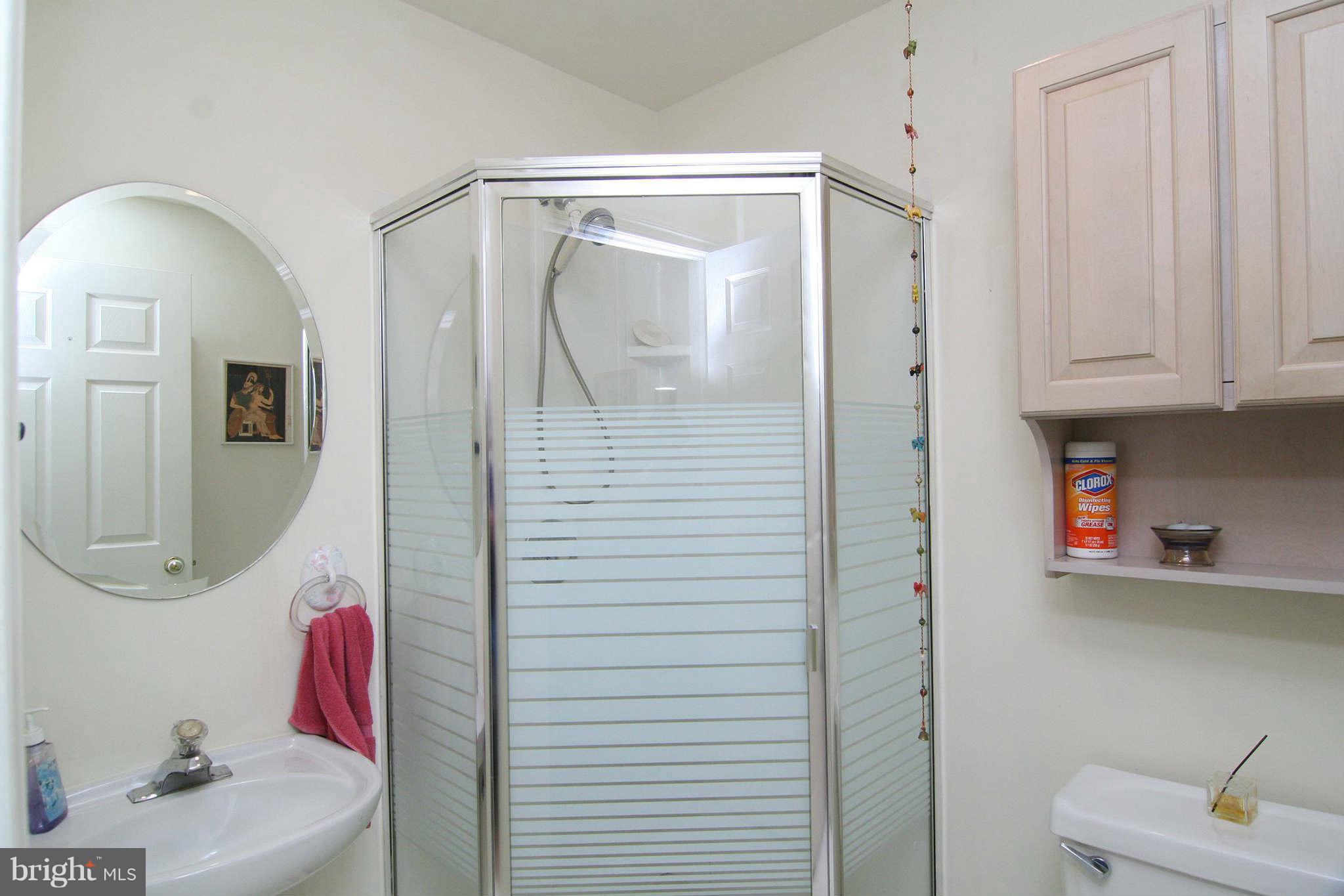 109 Greenbrier Road Baltimore, MD 21286 - Photo 21 of 27 Bath (Master)