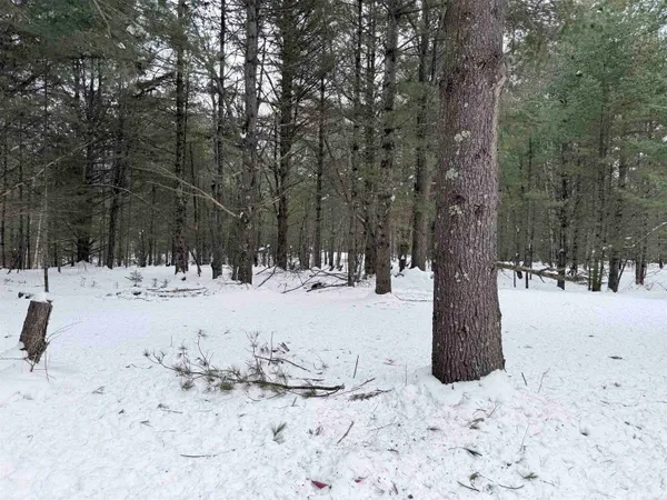 $119,900 | 3563 Kelsey Road, Florence, WI 54121