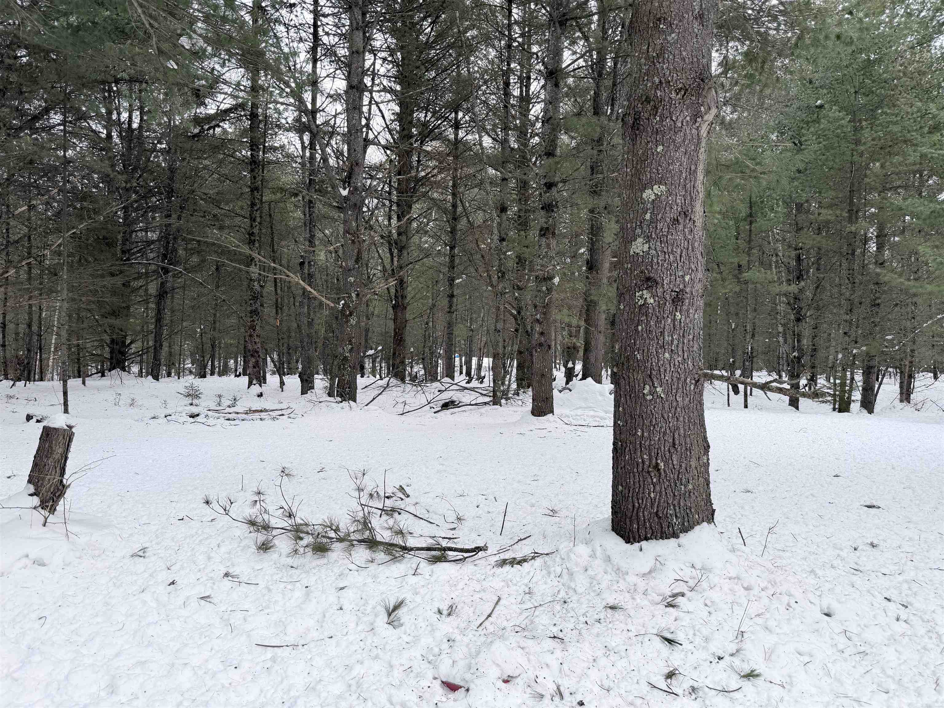 3563 Kelsey Road Florence, WI 54121 - Photo 23 of 24