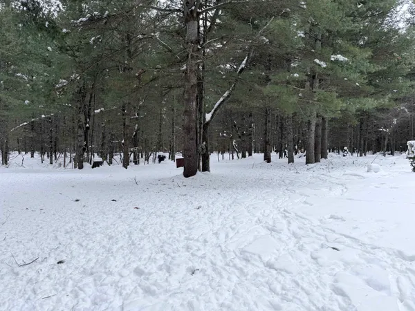 $119,900 | 3563 Kelsey Road, Florence, WI 54121