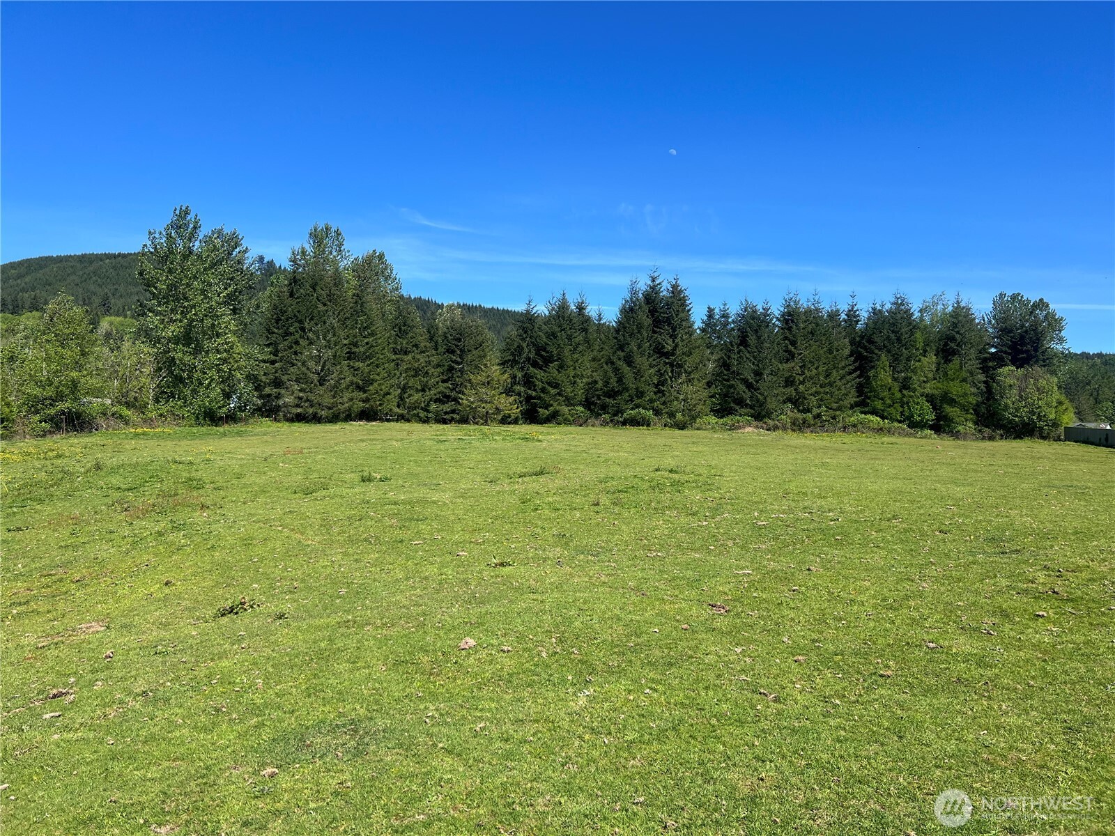 194 Cole Road Kelso, WA 98626 - Photo 37 of 37 Gallery Image 37