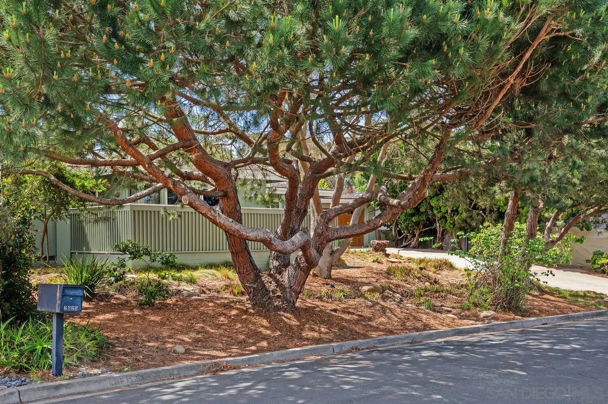 2615 Ellentown Road La Jolla, CA 92037 - Photo 31 of 31