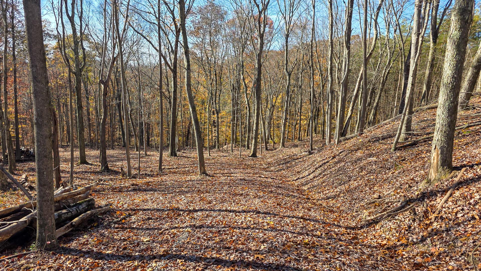 680 Nibert Road, Unit PONDS POPLAR RIDGE TRACT 10) Gallipolis, OH 45631 - Photo 32 of 46 CT-32