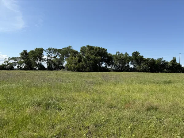 a view of a field with trees in background