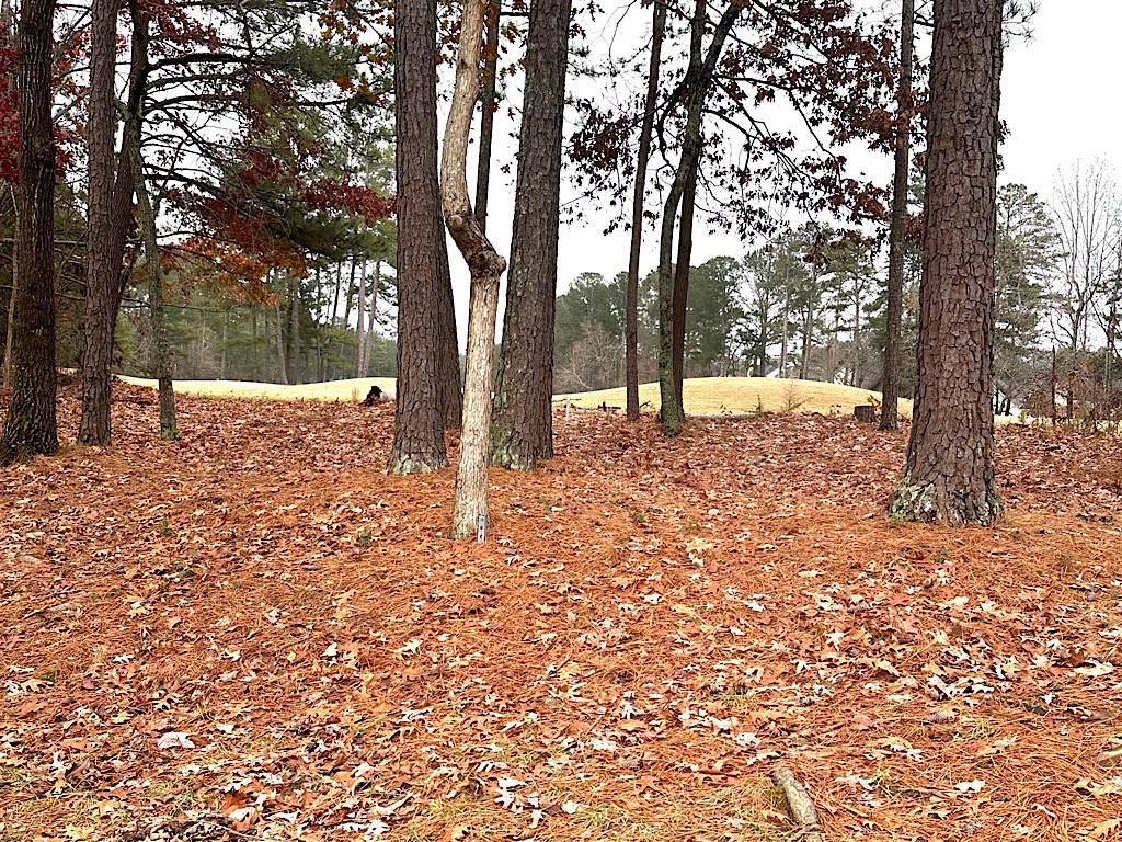 2431 Apalachee Run Way Dacula, GA 30019 - Photo 16 of 17