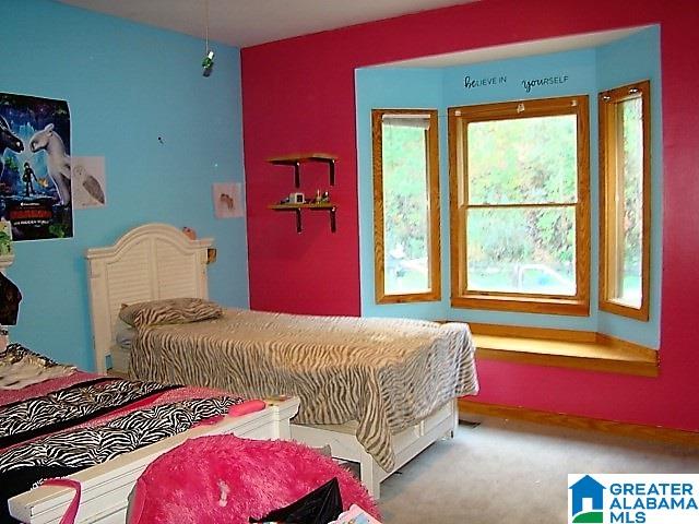 889 Hunter Road Ohatchee, AL 36271 - Photo 22 of 44