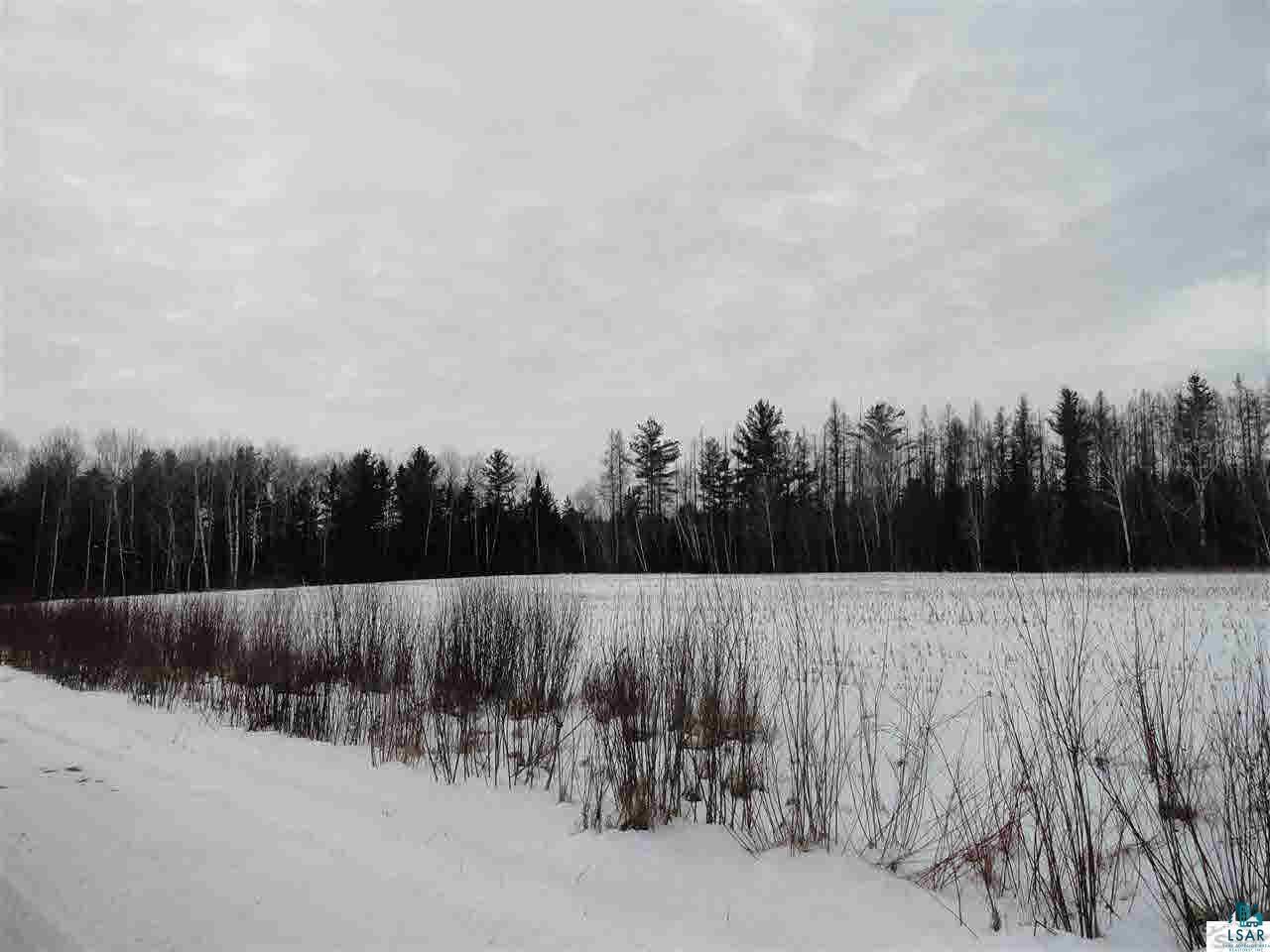 0 Marengo River Road Marengo, WI 54855 - Photo 3 of 3