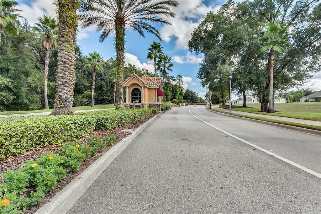 4810 Magnetite Loop Mount Mount Dora, FL 32757 - Photo 18 of 67