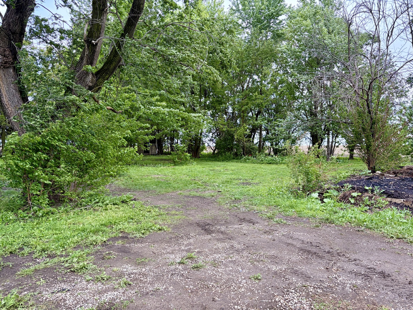 14681 Toad Hill Road Wapella, IL 61777 - Photo 27 of 29