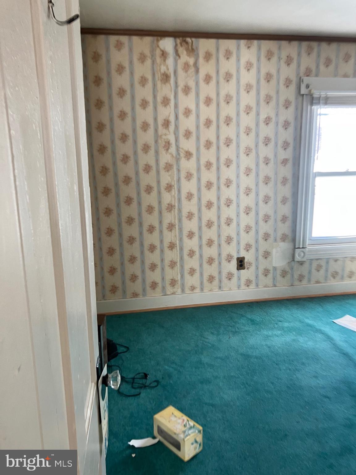 805 East B Street Brunswick, MD 21716 - Photo 26 of 31 a view of a yard with an empty room and a window