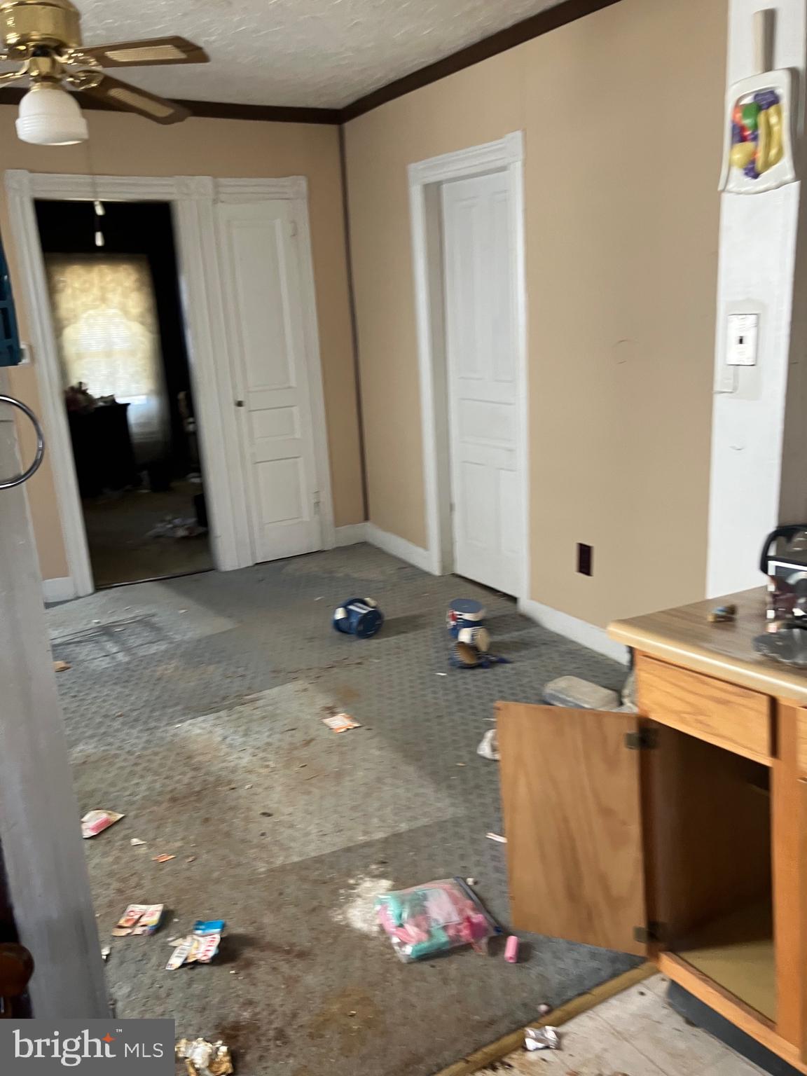 805 East B Street Brunswick, MD 21716 - Photo 9 of 31 a view of a storage & utility room