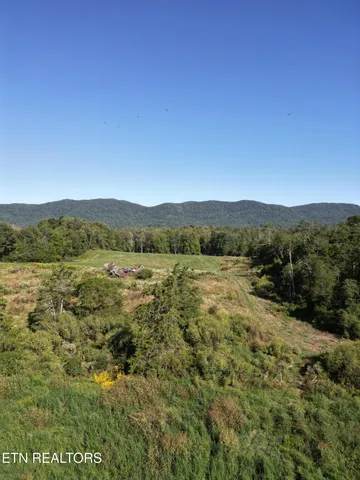 $115,000 | 317 Singleton Hollow Road, Unit LOT 1, Speedwell, TN 37870