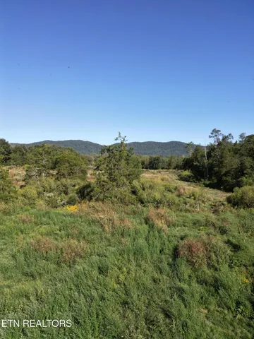 $115,000 | 317 Singleton Hollow Road, Unit LOT 1, Speedwell, TN 37870