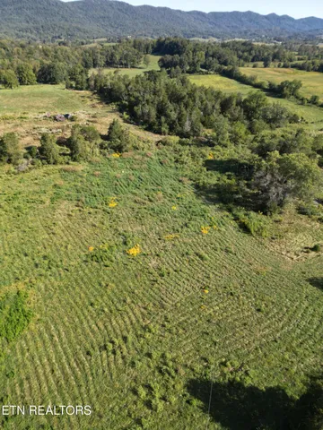 $115,000 | 317 Singleton Hollow Road, Unit LOT 1, Speedwell, TN 37870