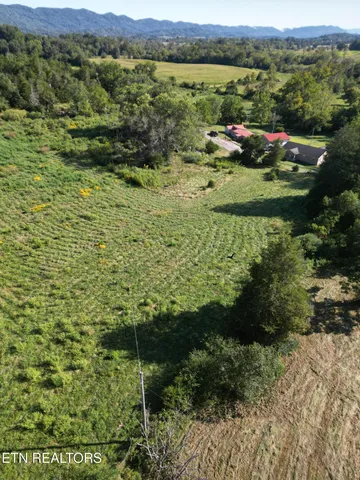 $115,000 | 317 Singleton Hollow Road, Unit LOT 1, Speedwell, TN 37870