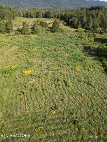 $115,000 | 317 Singleton Hollow Road, Unit LOT 1, Speedwell, TN 37870