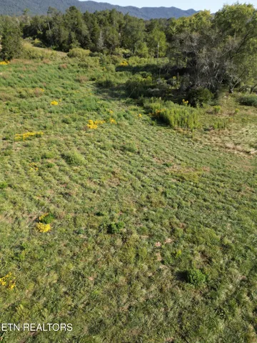 $115,000 | 317 Singleton Hollow Road, Unit LOT 1, Speedwell, TN 37870