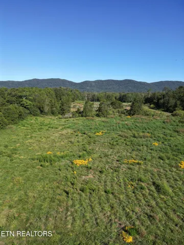 $115,000 | 317 Singleton Hollow Road, Unit LOT 1, Speedwell, TN 37870