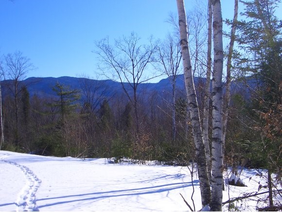 70 Parker Ridge Road Bartlett, NH 03838 - Photo 1 of 1