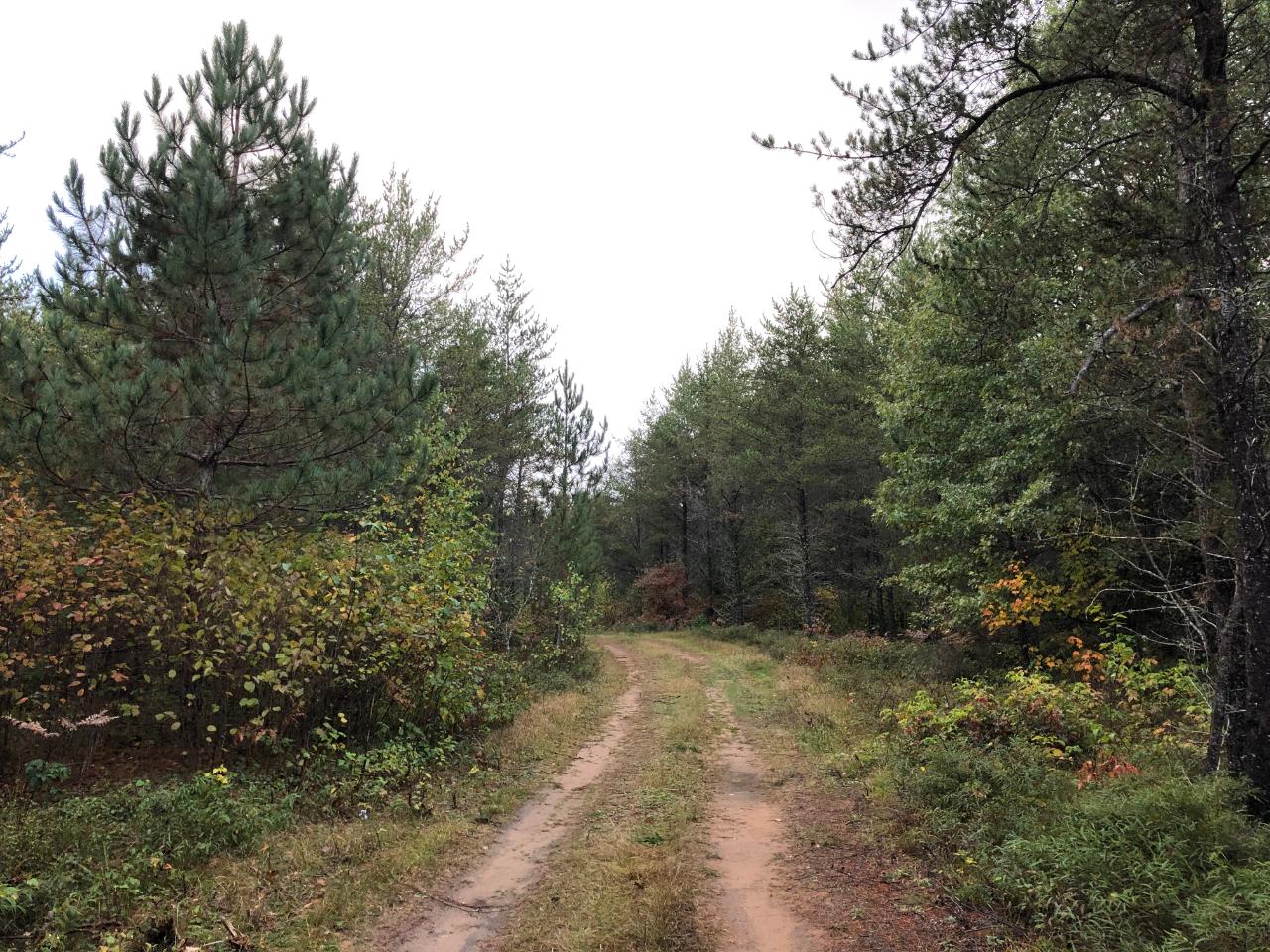 Nine Camp 9 Road Minocqua, WI 54548 - Photo 13 of 39 Gallery Image 13