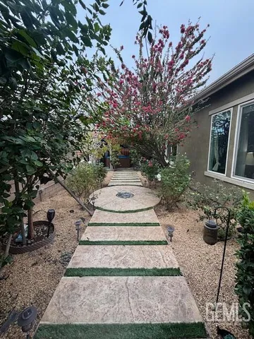 a view of a yard with plants