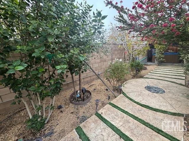 a view of a backyard