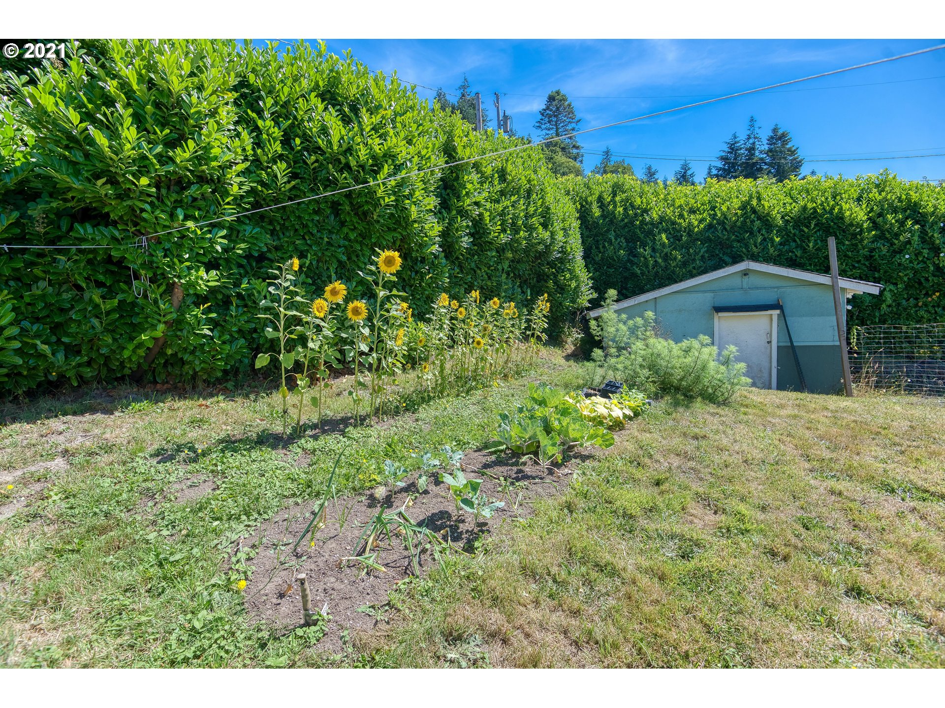 63665 Andrews Road Coos Bay, OR 97420 - Photo 26 of 32 Gallery Image 26