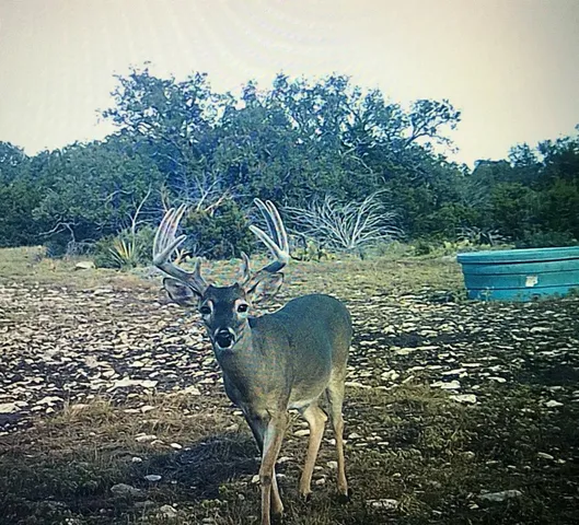 an outdoor sitting area with furniture and garden view