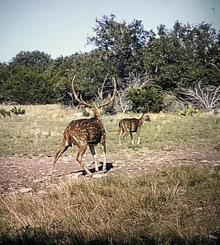an outdoor space view