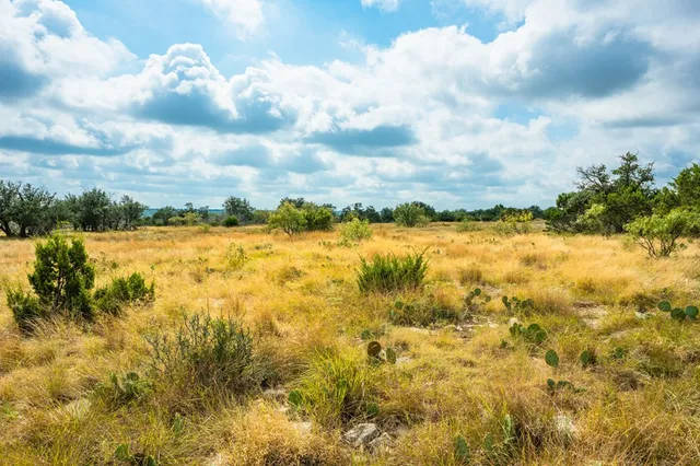 a view of road with trees