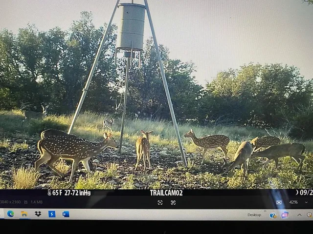 a picture of a lake view