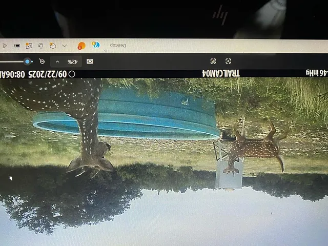 $875,000 | 1900 Private Road 2224, Sonora, TX 76950