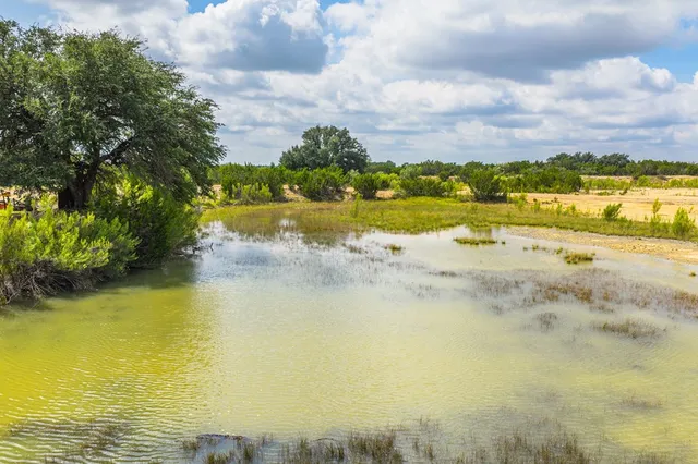 a view of a lake with a yard