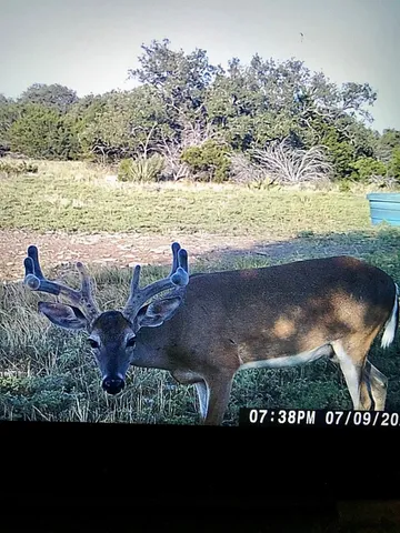 a view of a lake from a yard