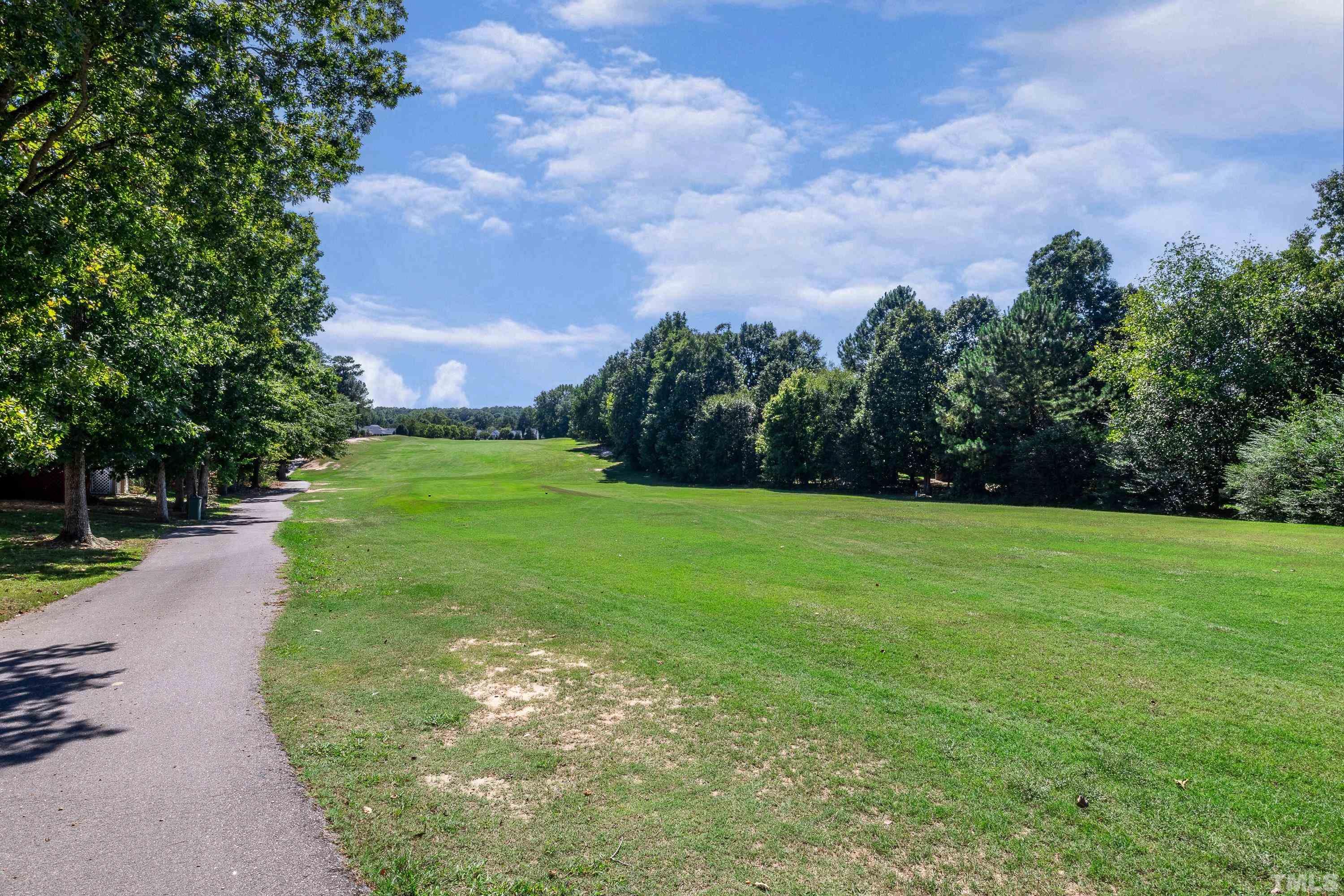 5355 Sahalee Way Raleigh, NC 27604 - Photo 8 of 42 a backyard of a house with lots of green space