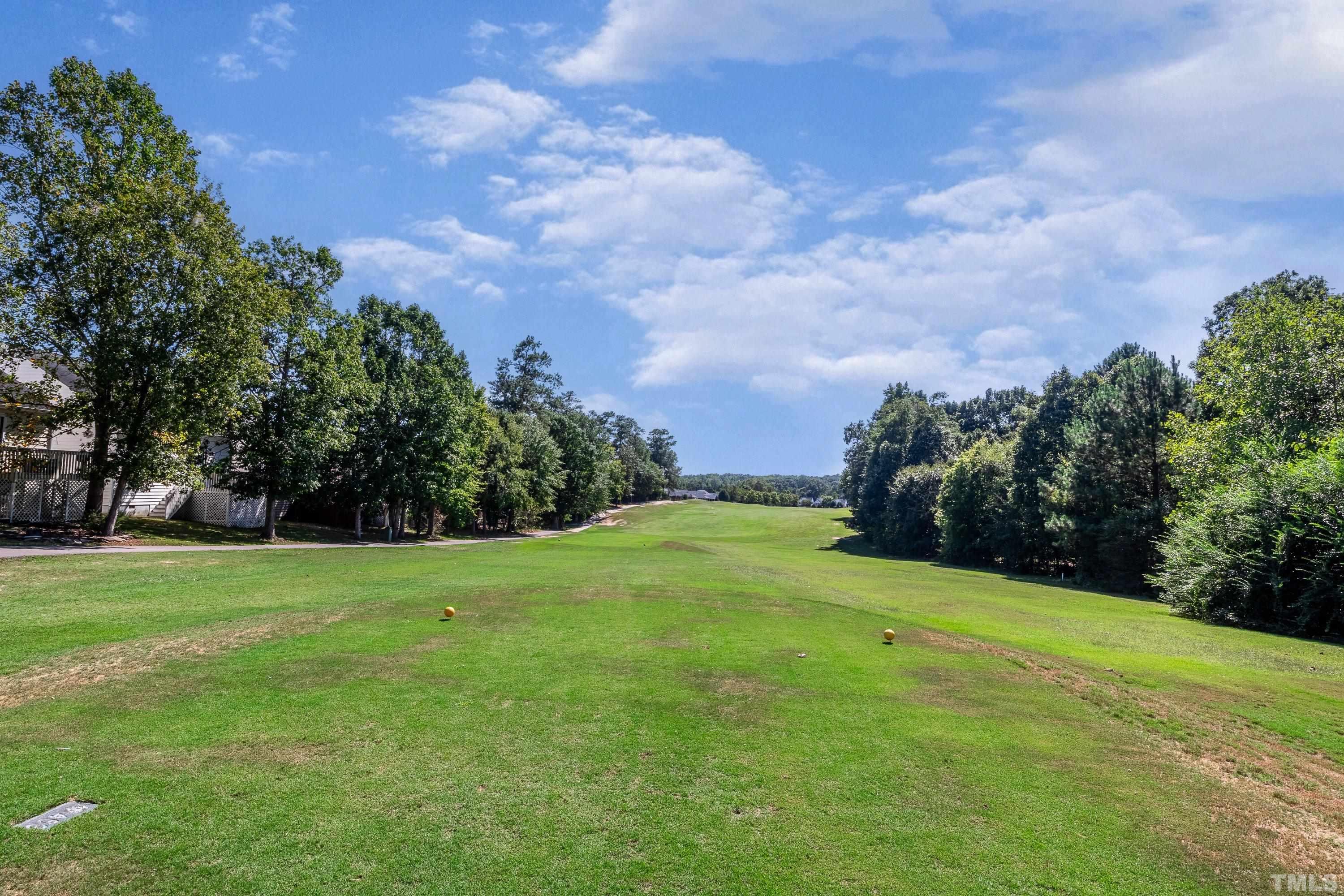 5355 Sahalee Way Raleigh, NC 27604 - Photo 10 of 42 a view of a big yard with plants and large trees