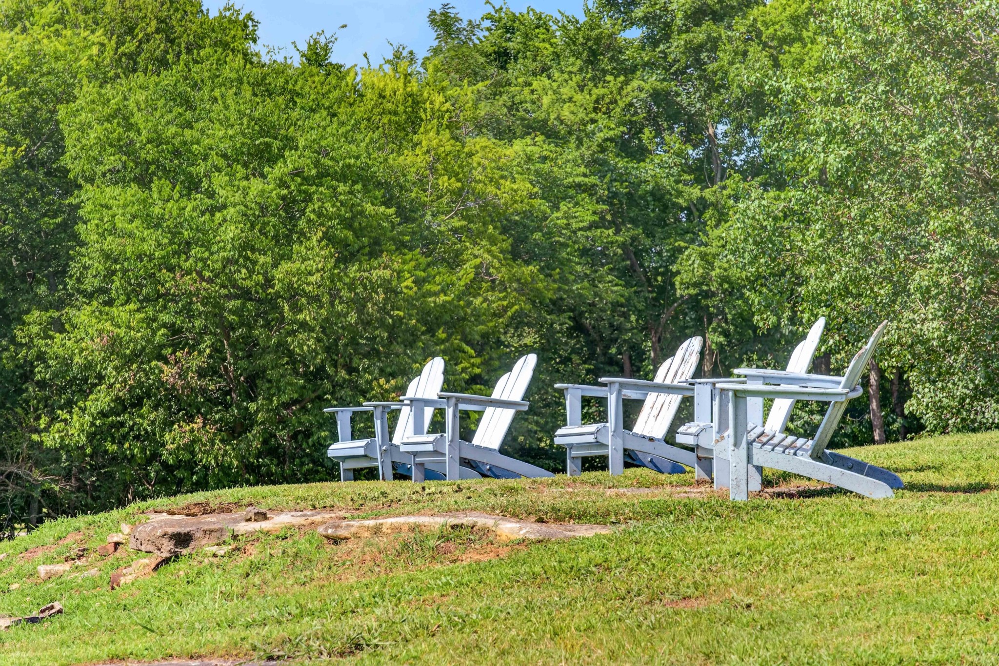 3798 McCandless Road Columbia, TN 38401 - Photo 7 of 98