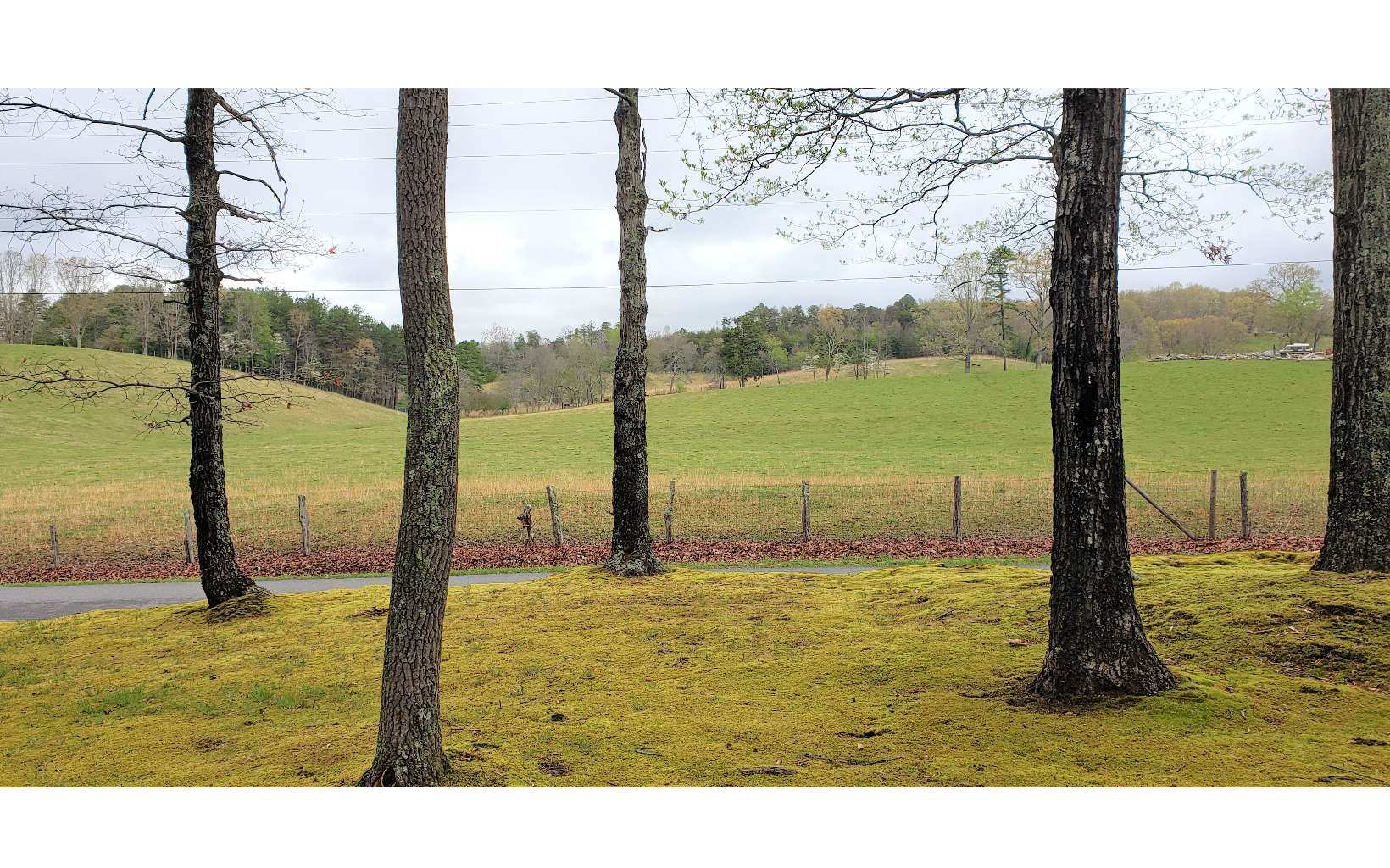 1994 Douthit Road Mineral Bluff, GA 30559 - Photo 2 of 4 Additional View