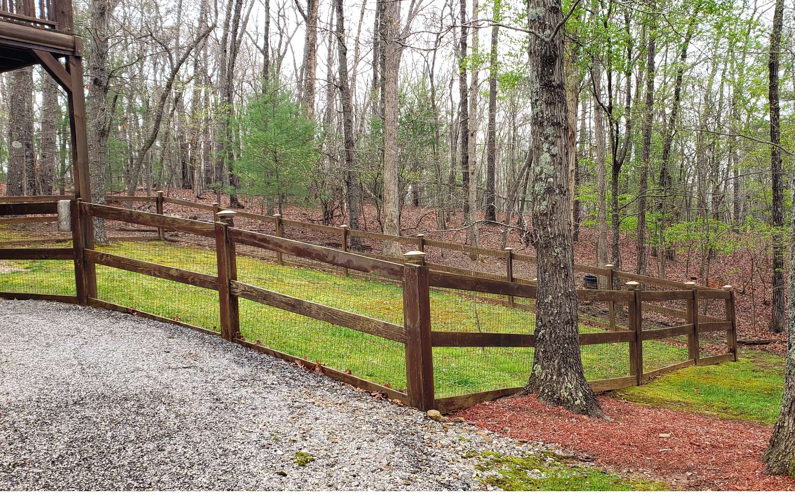 1994 Douthit Road Mineral Bluff, GA 30559 - Photo 4 of 4 Additional View